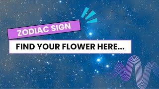 Your Zodiac sign as a flower | Anime