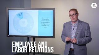 The HR Model: Employee and Labor Relations