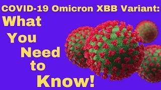 COVID 19 Omicron XBB Variant:  What You Need to Know!