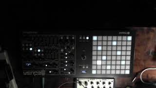 Innerspace Race Live Stream