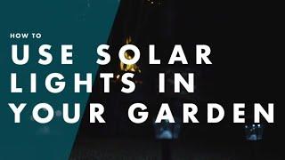 How To Use Solar Lights In Your Garden - Bunnings Warehouse