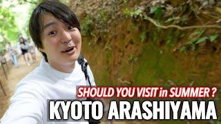 Hottest Kyoto Summer Vacation Arashiyama Area and Nishiki Market, It was Amazing Ep.506