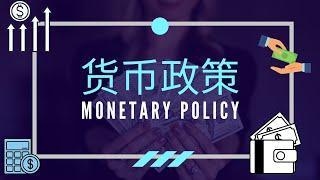 【经济学课程】 第十九课 || Monetary Policy 货币政策