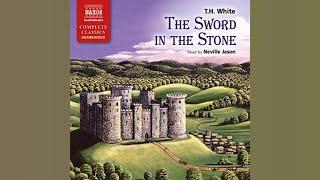 The Sword in the Stone (T. H. White) | Audiobook