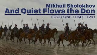 SHOLOKHOV | and quiet flows the don | book one, part two [audio book, unabridged]