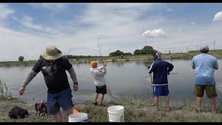 Hmong Trip-White Bass Bites Like Crazy Devils Lake June2018-Part2