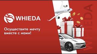 БЫСТРЫЙ СТАРТ В БИЗНЕСЕ И КЛЮЧЕВЫЕ ДЕЙСТВИЯ НА РЕЗУЛЬТАТ I REGIONAL DIRECTOR ОЛЬГА МИТРОВА