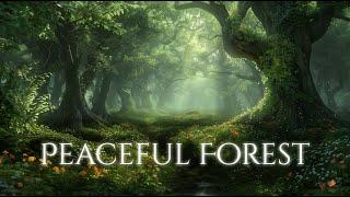 Peaceful Forest Ambience and Music | peaceful fantasy music and sounds of a forest in spring