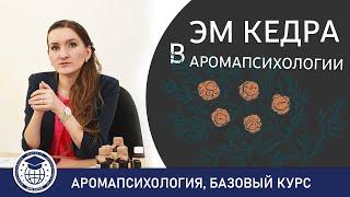 Кедр в аромапсихологии | АРОМАПСИХОЛОГИЯ БАЗОВЫЙ КУРС #аромапсихология​ #психология​ #ароматерапия