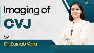 Imaging of CVJ by Dr.Zainab Vora