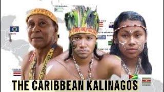 Who Are The Kalinagos Of The Caribbean  What Really Happened To The Caribs And Arawaks