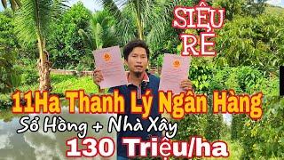 11Ha SIÊU RẺ SỔ HỒNG THANH LÝ NGÂN HÀNG Chỉ 130 Triệu 1ha tổng 11ha đất đỏ Bazan bằng đẹp tiêu cafe