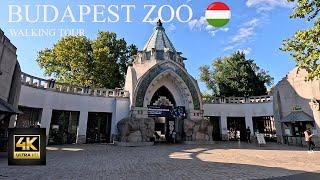 BUDAPEST ZOO WALKING TOUR 4K