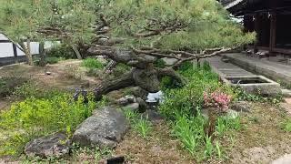 경주 최부자집 요석궁 정원
