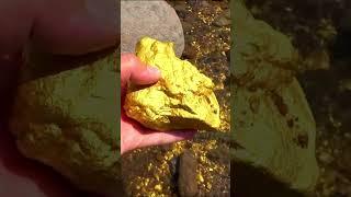 what do you think, is it gold