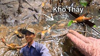 Chinh Phục Tổ Ong Gặp Phải Cua Biển Và Nhiều Con Ốc Đang Hội Tụ