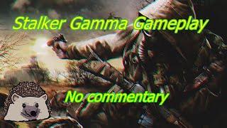 Stalker Anomaly Gamma gameplay (nocommentary)