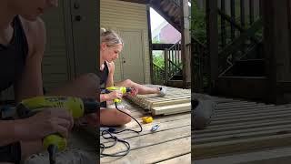 Your pets need this! #shorts #catlovers #diyhome