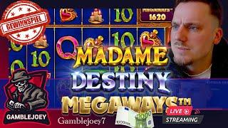 | GIGA GEWINNSPIEL| Jetzt auf Kick, Madame Destiny 1/2 | Freegames High Stakes  |Casino Highlights