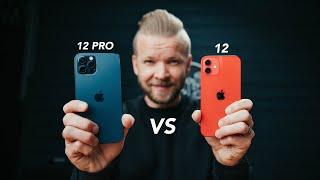 iPhone 12 VS 12 Pro // Camera Comparison Review