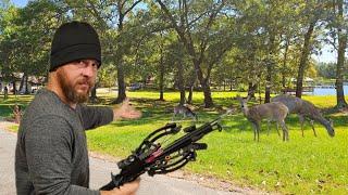 Hunting these Urban Deer with a Mini Striker Pistol Crossbow