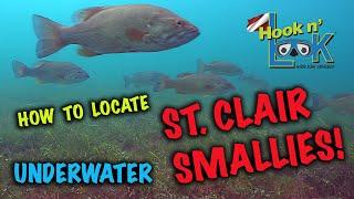 How to Locate Lake St. Clair's Mid-Summer Smallies