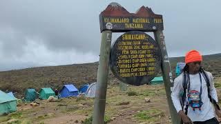Kilimanjaro Shirah camp 1. what to expect with Uprise Africa Tours.
