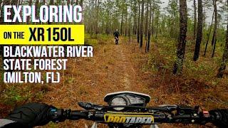 Exploring on the Honda XR150L: Sand & SIngletrack in FL (Blackwater River State Forest)