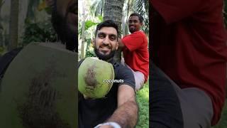 Let's Try a COCONUT in Indonesia