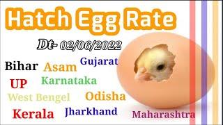 Broiler Hatch Egg Rate || Dt- 02/06/2022 || @IndianFarmer|| @SumitIndianFarmer