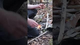 Remote Wilderness Campfire... Solo 24 Hours!