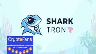 Introducing SharkTRON- a new perspective DeFi Platform