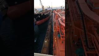 MERCHANT NAVY | Rohit Chopra #shorts #youtubeshorts #merchantnavy