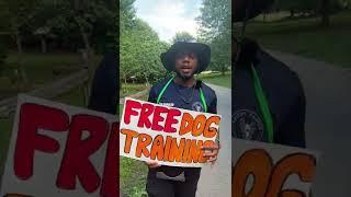 FREE Dog training  in Atlanta, GA!