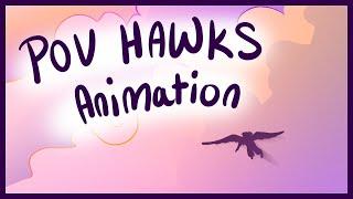 POV Hawks Animation