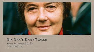 16th January 2022 Teaser Dian Fossey