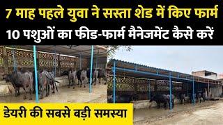 10 भैंस के फार्म को कैसे मैनेज करते है/Buffalo farm management/Buffalo farm up/small dairy farm