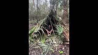 Building Epic Huts: Boys Ultimate Wilderness Adventure! #boy #boylife #building #exploring