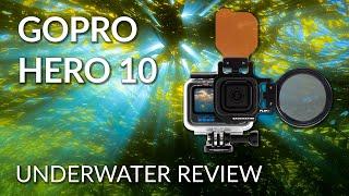 GoPro Hero 10 Underwater Camera Review