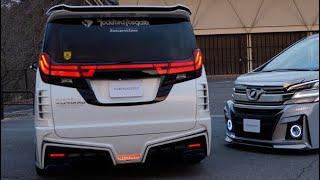 Наезд на пешехода от TOYOTA ALPHARD/VELLFIRE и HONDA STEPWGN