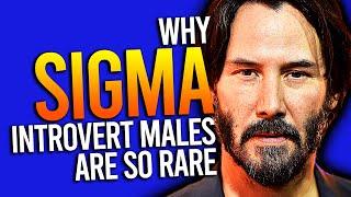 Why Sigma Introvert Males Are So Rare