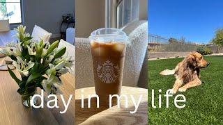 Day In My Life