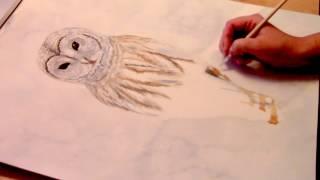 WATERCOLOR OWL TIMELAPSE