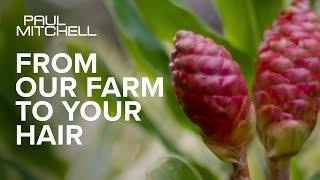 Our Story: From Our Farm to Your Hair