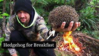 Hedgehog Harvest - Primitive methods of our Ancestors.