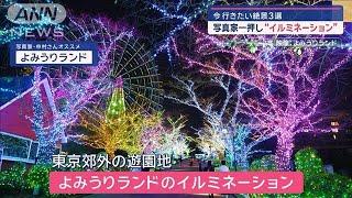 写真家一押し“イルミネーション”　今行きたい絶景3選【スーパーJチャンネル】(2024年11月13日)