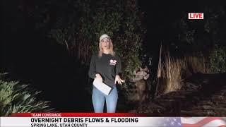 Live Reporter Ignores Mountain Lion