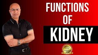 Functions of Kidneys | Physiology and Structure | Dr Najeeb