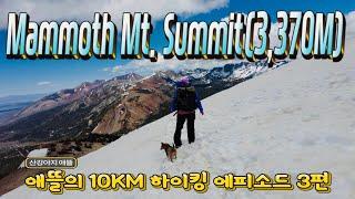 Mammoth Mt. Summit (11,053Ft)Hike(애뜰의 3,370M 높이의 10Km 하이킹 이야기)