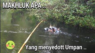 ENTAH SEBESAR APA IKAN YANG MENYAMBAR UMPAN ITU ...  ..